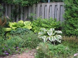 A typical garden in Anjou
