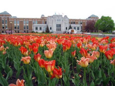 Montreal Attractions - Botanical Garden