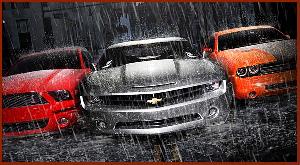 Car Rentals