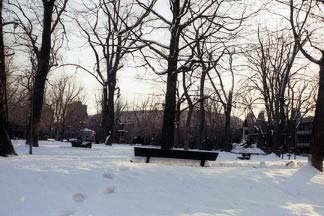CarreStLouisNeige75