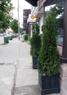 Hochelaga Street