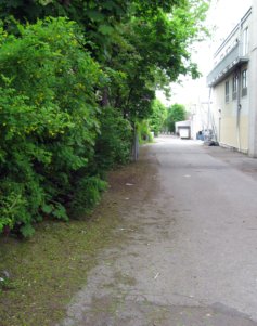 Hochelaga Street