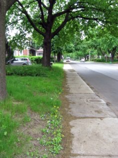 Honore-Beaugrand Street