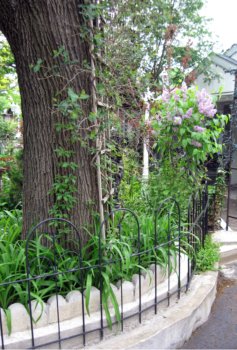 Honore-Beaugrand Street