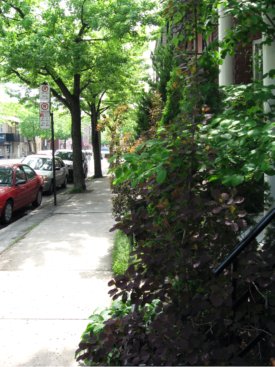 Boulevard Saint-Laurent