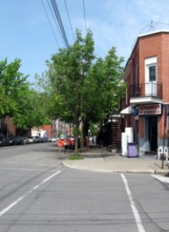 Montreal Little Italy
