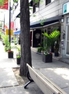 Montreal Little Italy