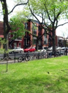 Montreal Little Italy