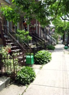 Montreal Little Italy