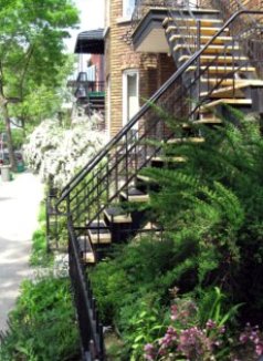 Montreal Little Italy