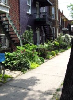 Montreal Little Italy