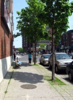 Montreal Little Italy