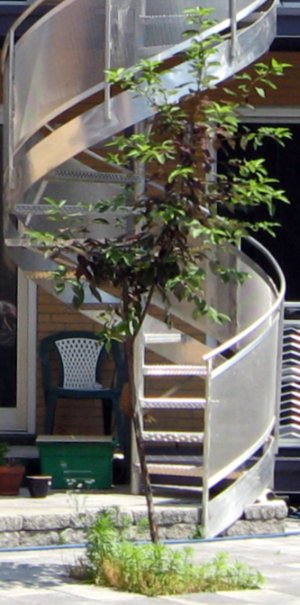D'ONOFRIO Architecture Design