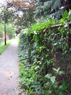 de Jumonville Hidden Path