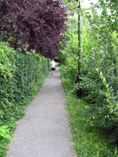 de Jumonville Hidden Path