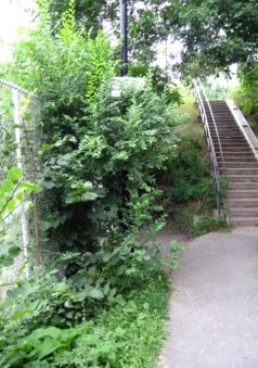 de Jumonville Hidden Path
