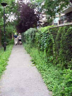 de Jumonville Hidden Path