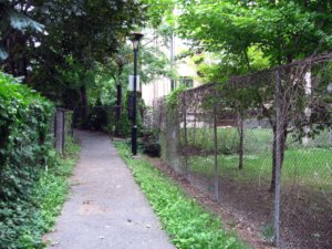 de Jumonville Path - Rachel Louise Barry