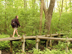 Parc nature du Bois-de-Liesse