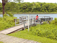 Parc nature du Bois-de-Liesse