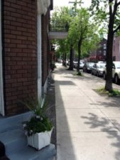 Stroll Photography - La Petite Italie