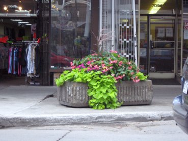 Plaza Saint-Hubert - Flower Pot