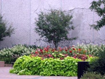 Plaza Saint-Hubert - Parc Hector-Prudhomme