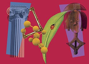 Montreal Museum Passes