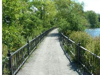 The Rapides de Lachine