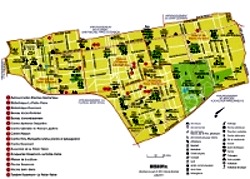 Rosemont-La-Petite-Patrie 250x179