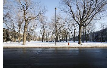 George-Etienne-Cartier Park